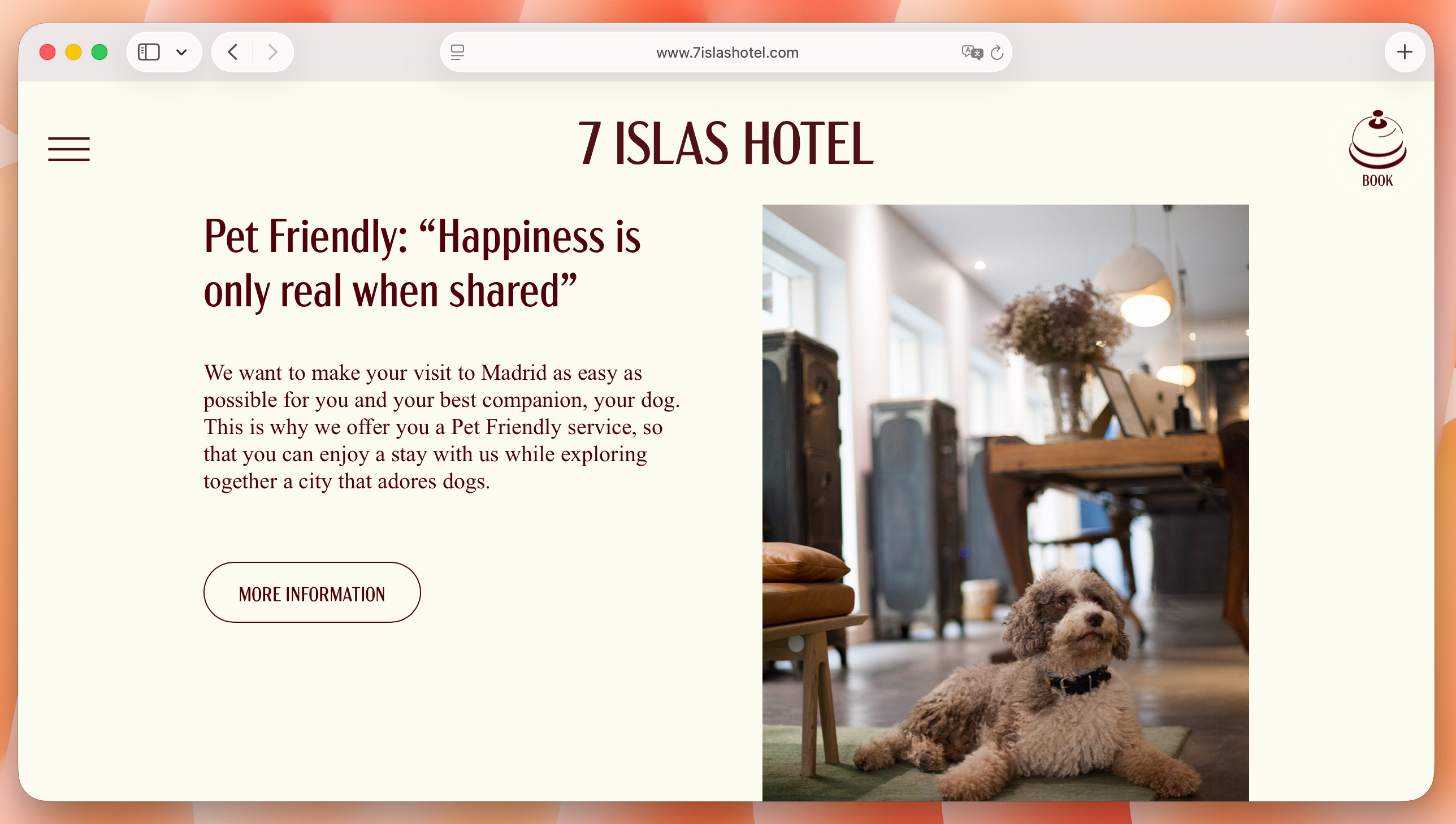 7 Islas Hotel with a landing page for pet-friendly stays